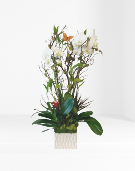 Tall white orchid arrangement with butterfly accents in a ribbed ceramic vessel